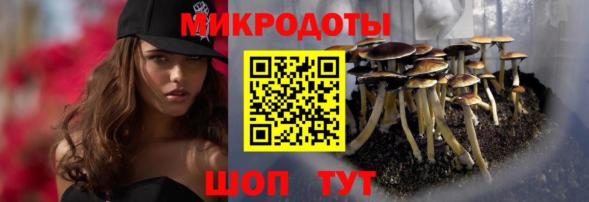Галлюциногенные грибы мухоморы Заволжье