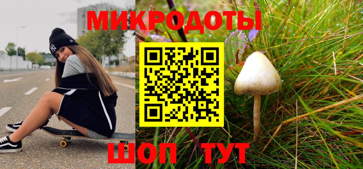 Заволжье  Галлюциногенные грибы Magic Shrooms  Вход с VPN 