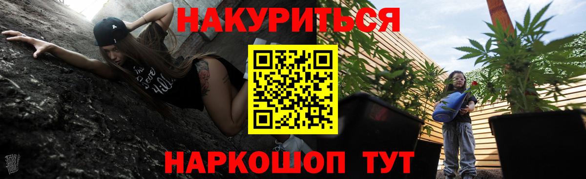 Конопля конопля Заволжье